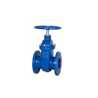 robinet sertar pana corp plat cauciucat dn250 pn1016 robmet srl corp fonta ductila imagen 48_0_
0
