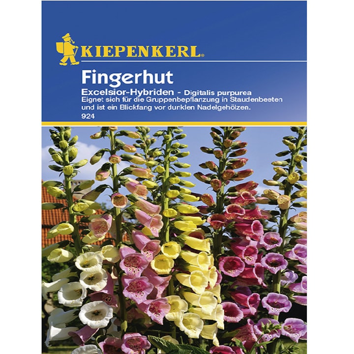 Seminte de Degetar Excelsior, plic de 50 seminte