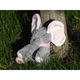 Elefant plus Peek-a-Boo
