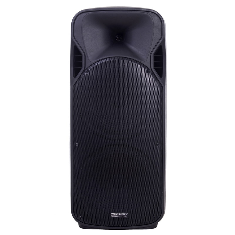 taa Boxa portabila Temeisheng A15-15, radio FM, USB, 2 microfoane