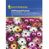 Seminte de Dorotheanthus Mix, plic de 75 seminte