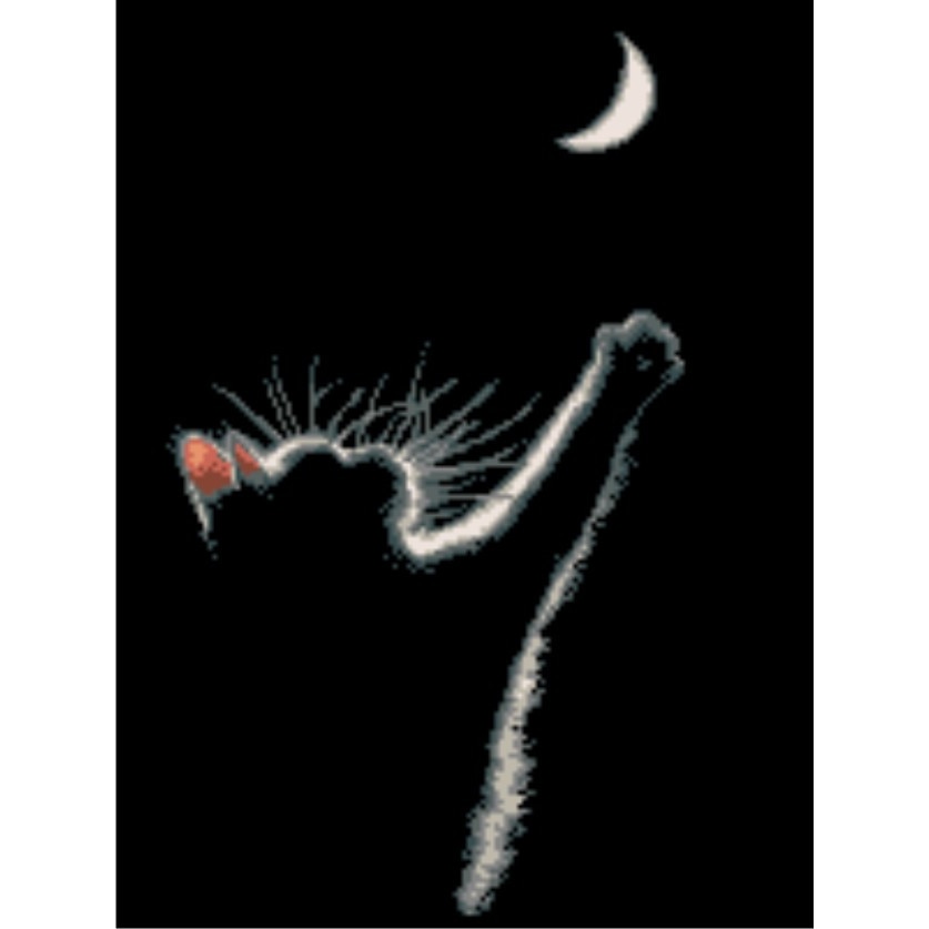 Goblen Luna pisicii, Rogoblen, kit cu diagrama color, 20x15 cm, bumbac