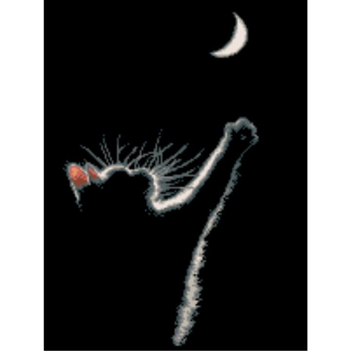 Goblen Luna pisici, Rogoblen - Kit cu diagrama alb-negru, cu fire mouline 15 x 20 cm