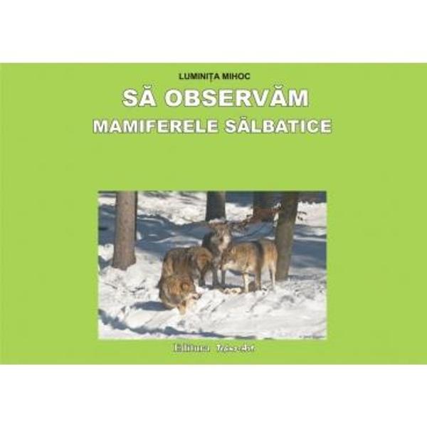Sa observam Mamiferele salbatice - Planse - Luminita Mihoc
