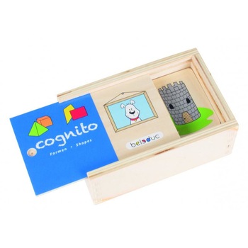 Set de lemn pentru invatare forme si culori - Cognito Set de lemn pentru invatare forme si culori - Cognito