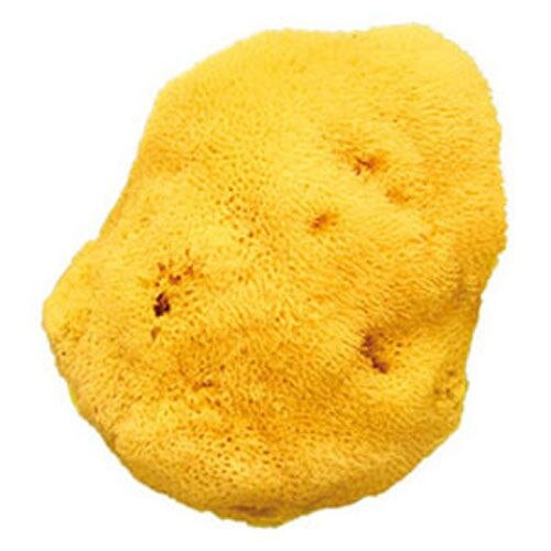 Bureti OK Baby Naturali cu Pori Fini 16