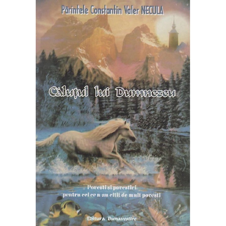 Calutul Lui Dumnezeu - Constantin Necula