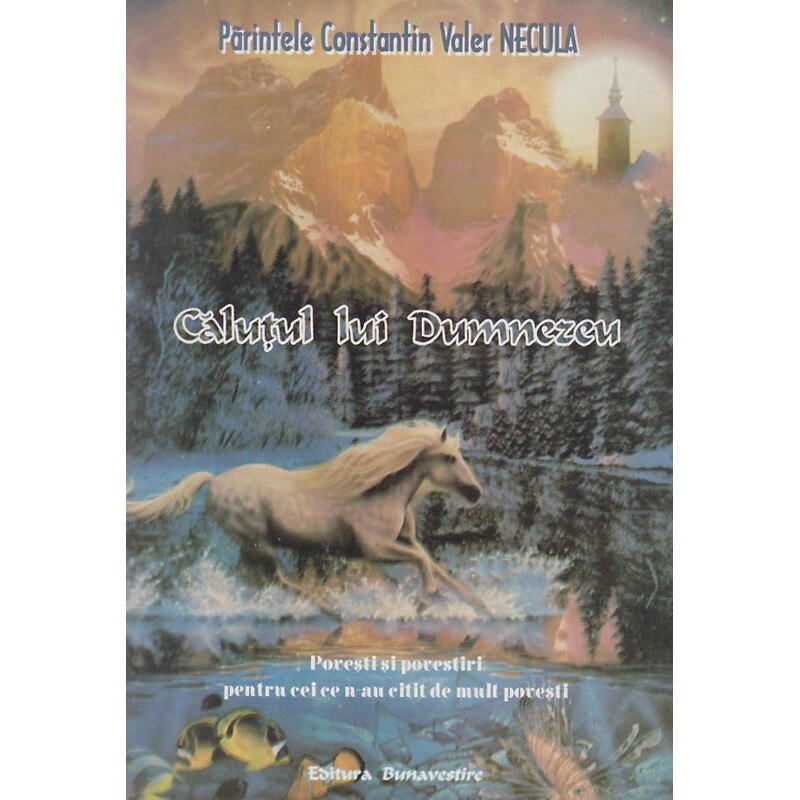 Calutul lui Dumnezeu, Pr. prof. dr. Constantin Necula, Editura Bunavestire