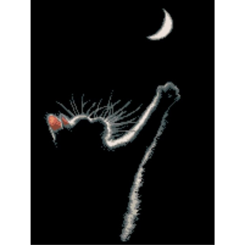 Goblen Luna pisicii, Rogoblen, kit cu diagrama alb-negru, 20x15 cm, bumbac