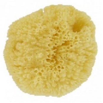 Burete de baie natural Caribbean marimea M (mare) Forster's Natural Products Burete de baie natural Caribbean marimea M (mare) Forster's Natural Products