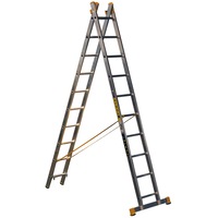 scara profesionala alverosal forte plus 2 tronsoane 10 trepte 298 m imagen 45_0_
0