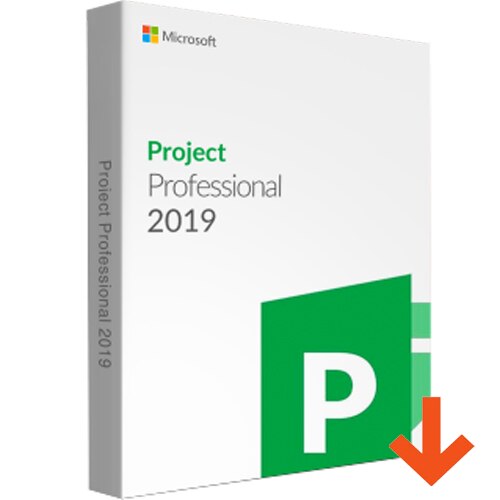 Project Professional 2019