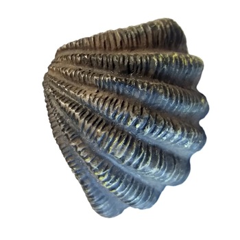 Buton mobilier scoica, Siro Buton mobilier scoica, Siro