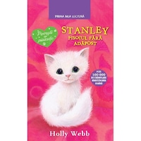 Stanley, Pisoiul Fara Adapost. Holly Webb
