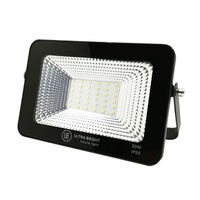 Proiector LED slim Ultra Bright, 30W, 2400 lm, 6400K, A++, IP65