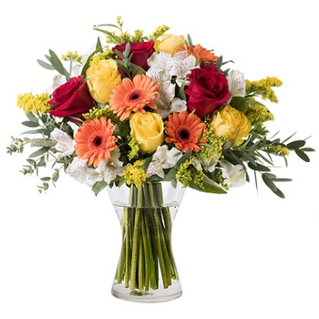 Buchet de flori, Dimineata de toamna, Florarie Amazon, trandafiri si mixt de flori, multicolor Buchet de flori, Dimineata de toamna, Florarie Amazon, trandafiri si mixt de flori, multicolor