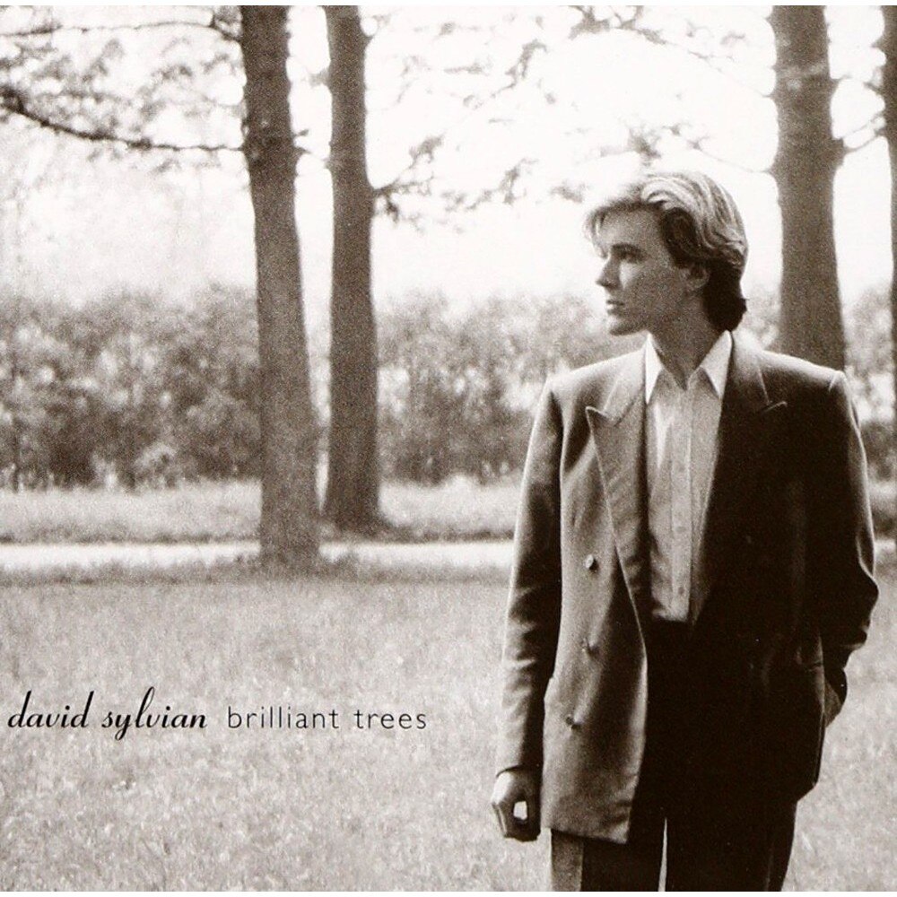 David Sylvian - Brilliant Trees - CD