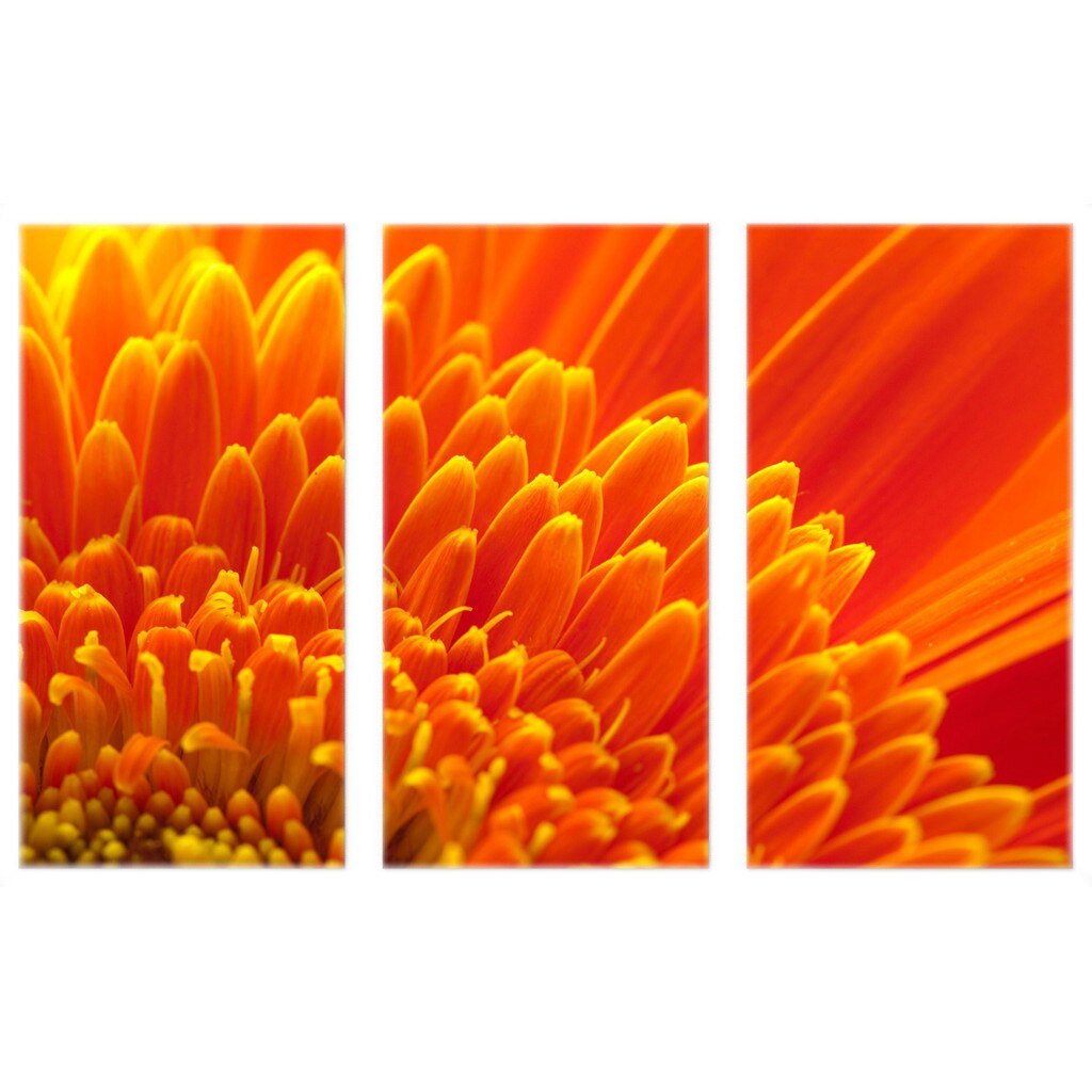 Set tablou 3 piese fosforescent Crizantema portocalie 120x52 cm