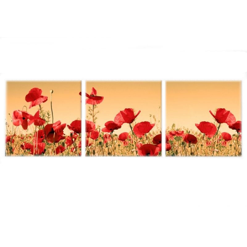 Set tablou 3 piese fosforescent Maci salbatici 80x80 cm