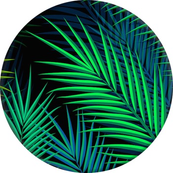 Suport stand Popsockets ® Original, Midnight Palms Suport stand Popsockets ® Original, Midnight Palms