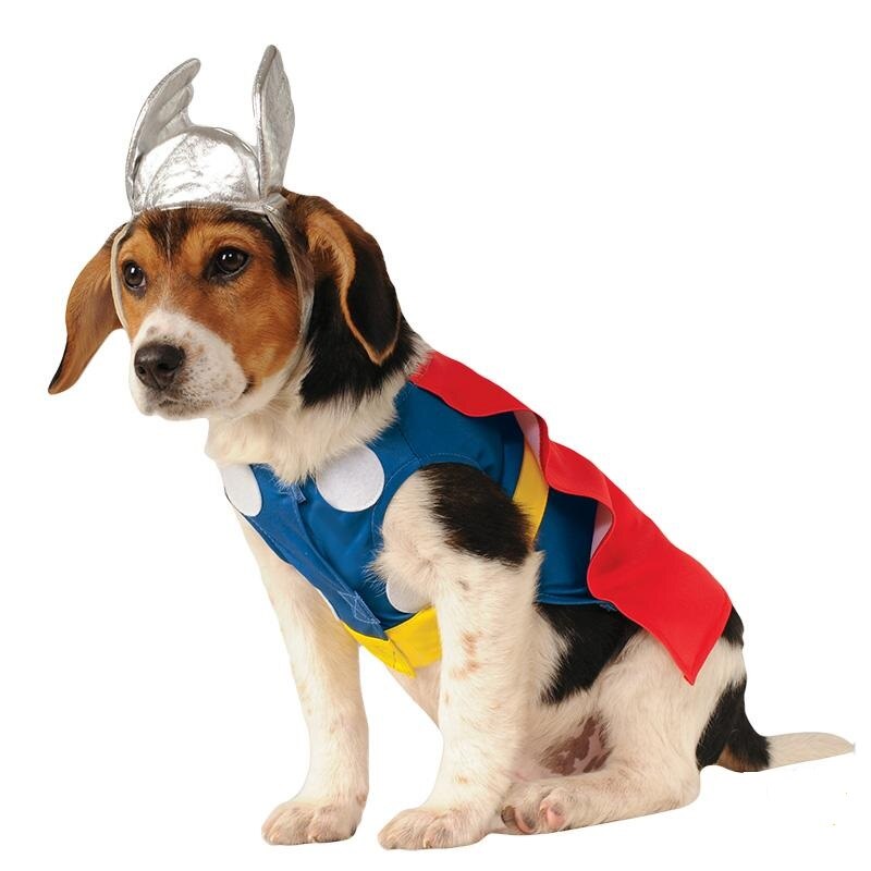 Costum catei Thor S