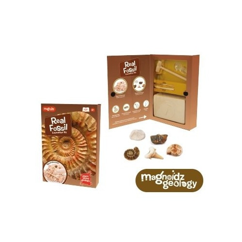 Kit Keycraft Paleontologie Descopera Fosile