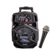 Difuzor Karaoke portabil reincarcabil, FEIYIPU, 300W, 8 inchi, 1800 mAh Negru