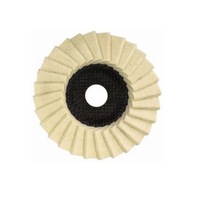 disc pasla lamelar125 mm flex imagen 19_0_
0