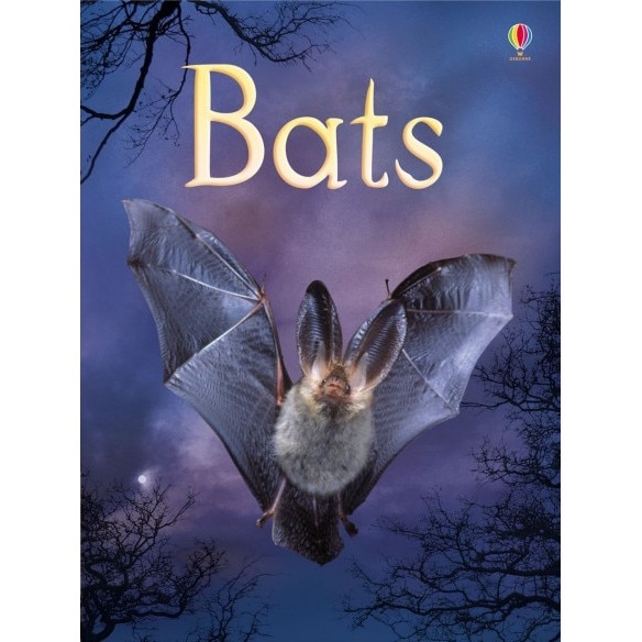 Bats, Megan Cullis