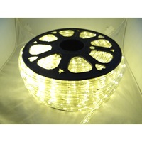 instalatie rola led alb cald 50 m furtun luminos  alimentator inclus  instalatie de craciun imagen 7_0_
0
