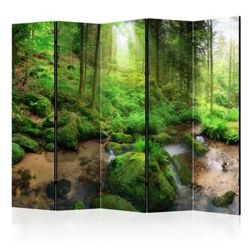 Paravan din 5 parti - Padurea umeda II - 225 x 172 cm Paravan din 5 parti - Padurea umeda II - 225 x 172 cm