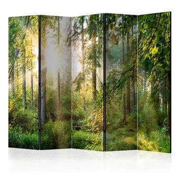 Paravan din 5 parti - Natura Natura II - 225 x 172 cm Paravan din 5 parti - Natura Natura II - 225 x 172 cm