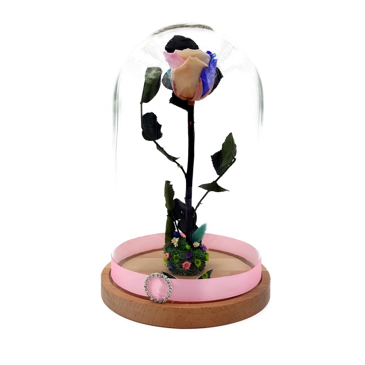 Trandafir Criogenat, multicolor pastel, pe pat de muschi, in cupola de sticla 27 cm
