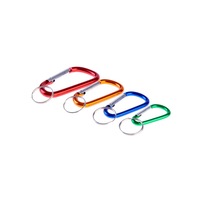 Mini Set 4 Carabiniere Diferite Dimensiuni, cu 4 Inele Metalice, SDY-97248, Multicolor