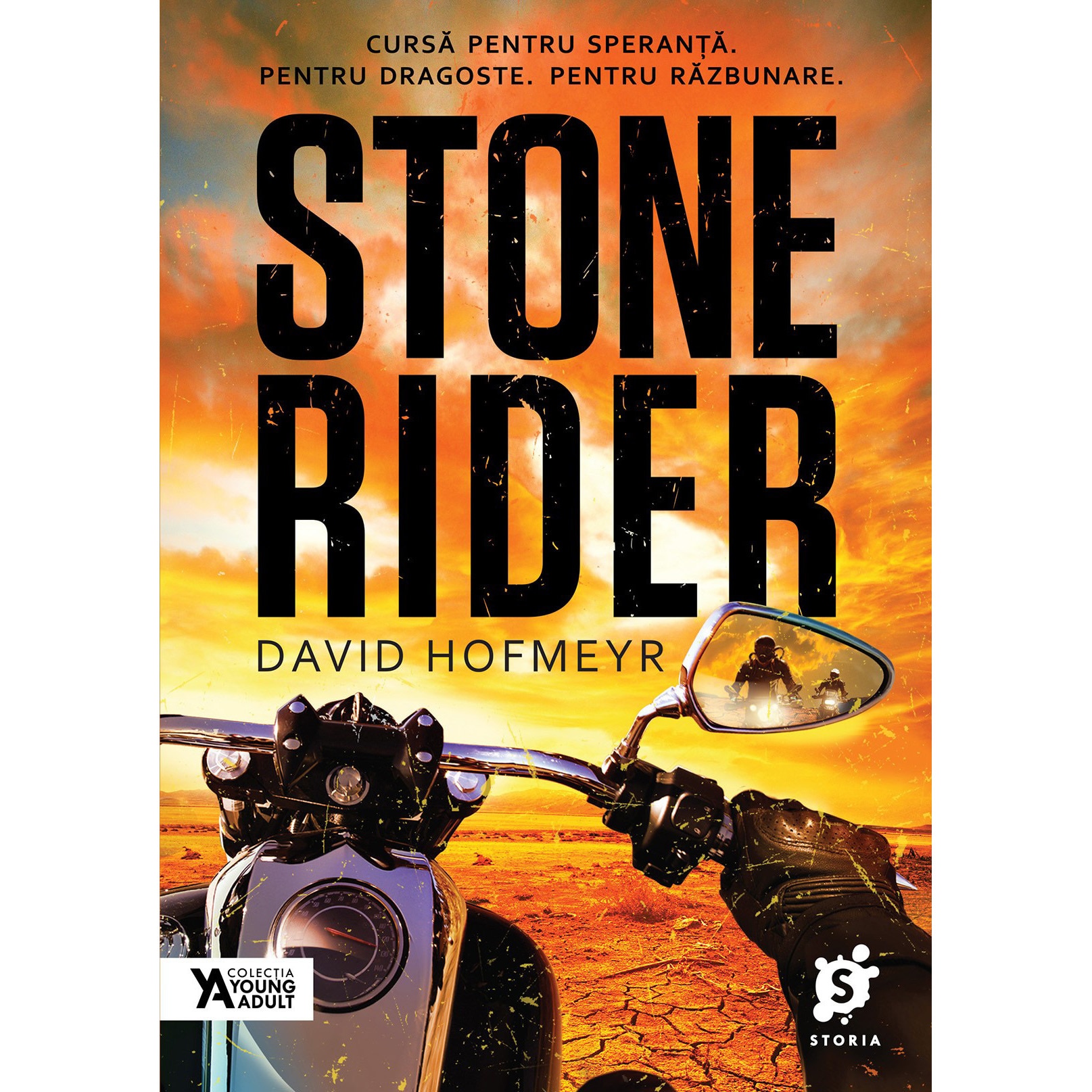 Stone Rider, David Hofmeyr