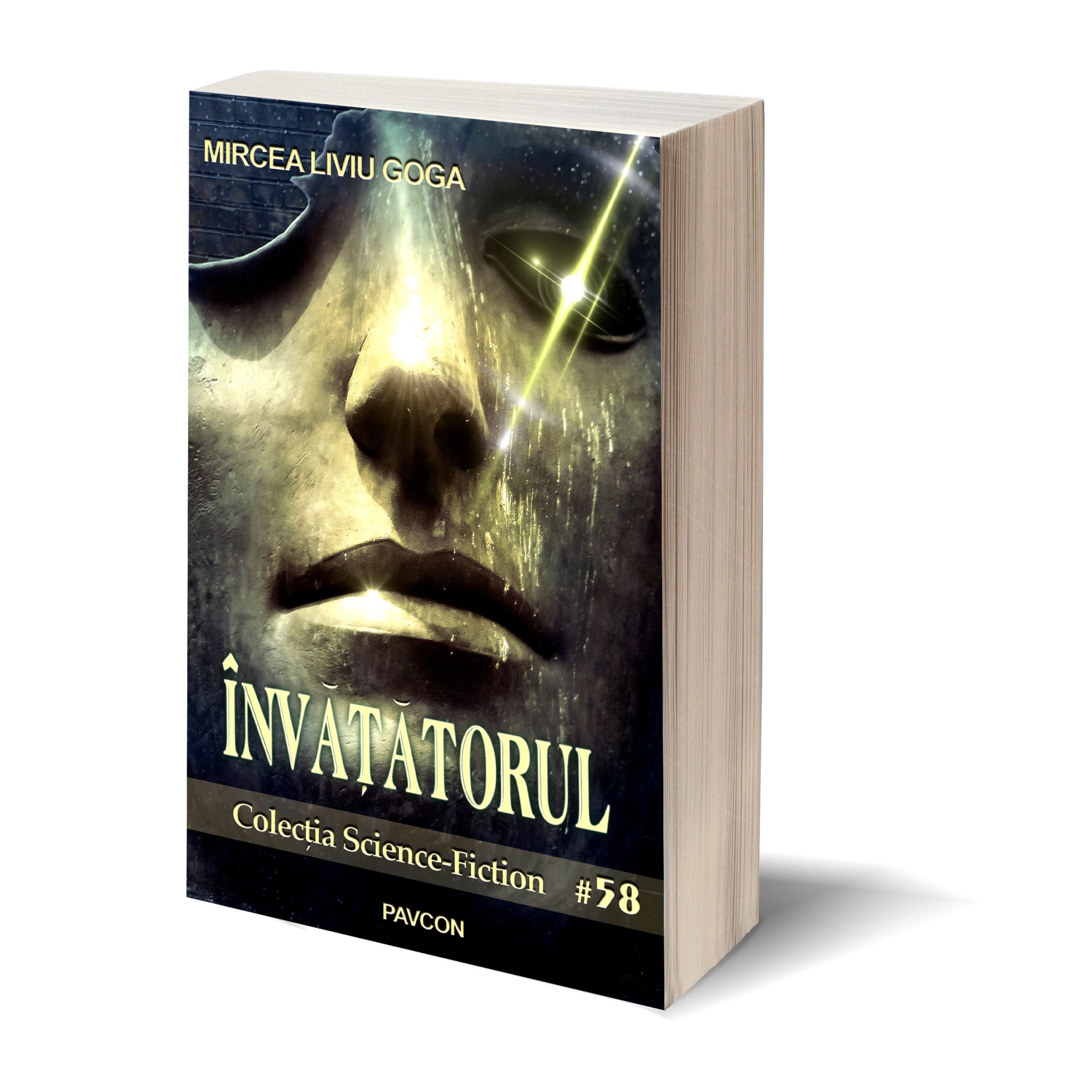 Invatatorul - Mircea Liviu Goga