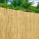 Bamboocane 1x5m gard de bambus 5030015