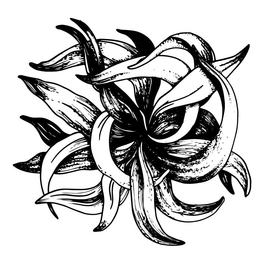 Tatuaje temporare Tatuin, BW Flower, design by Otilia Cadar, 2 tatuaje