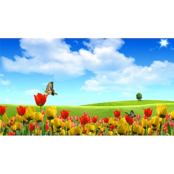 Autocolant Fluturi si lalele, 220 x 135 cm Autocolant Fluturi si lalele, 220 x 135 cm