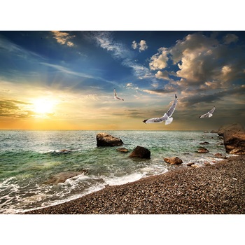 Fototapet din autocolant de perete Zbor in asfintit 270 x 200 cm Fototapet din autocolant de perete Zbor in asfintit 270 x 200 cm