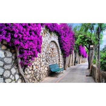 Fototapet Zid cu flori mov (380 x 255 cm) Fototapet Zid cu flori mov (380 x 255 cm)