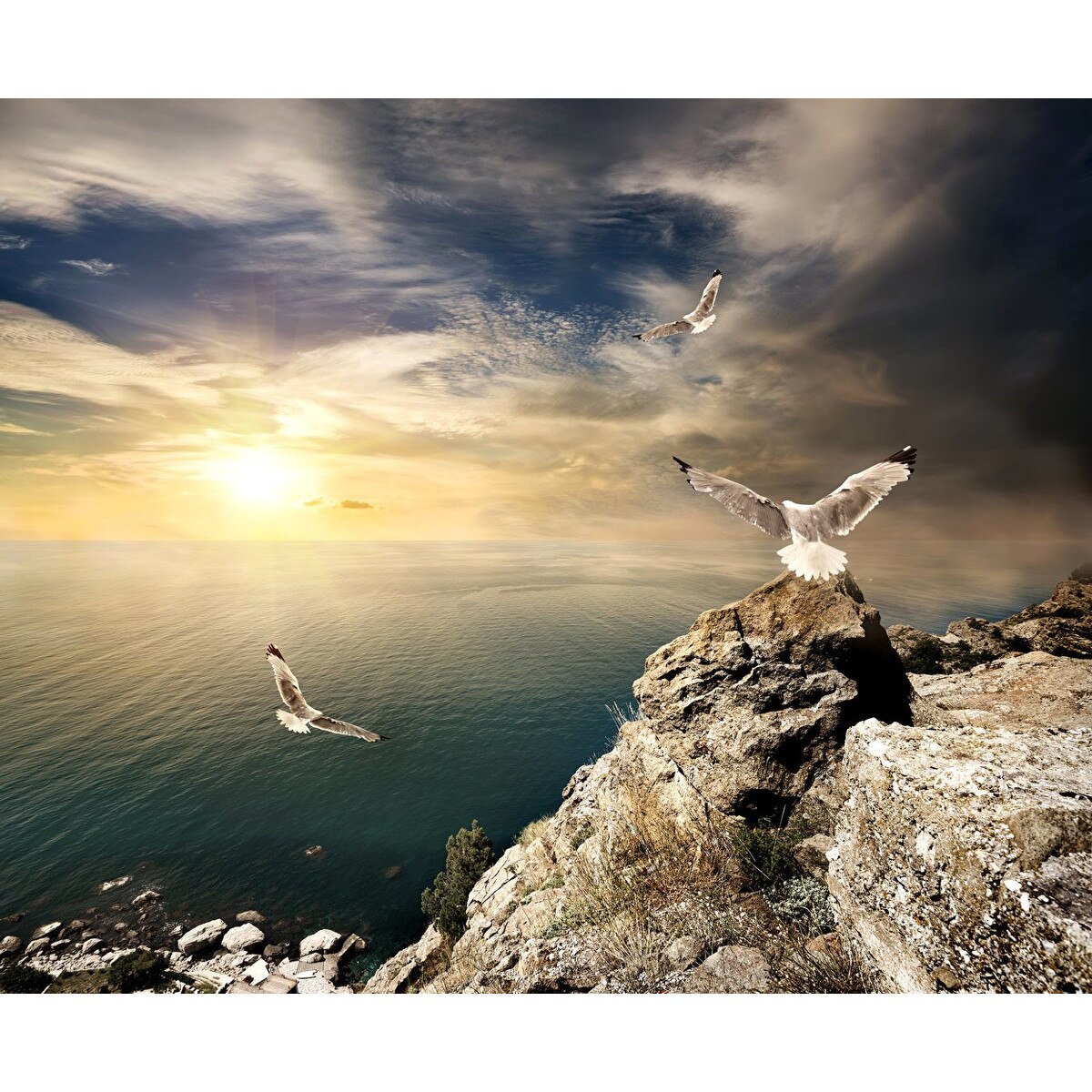 Fototapet din autocolant de perete Zbor la malul marii 270 x 200 cm