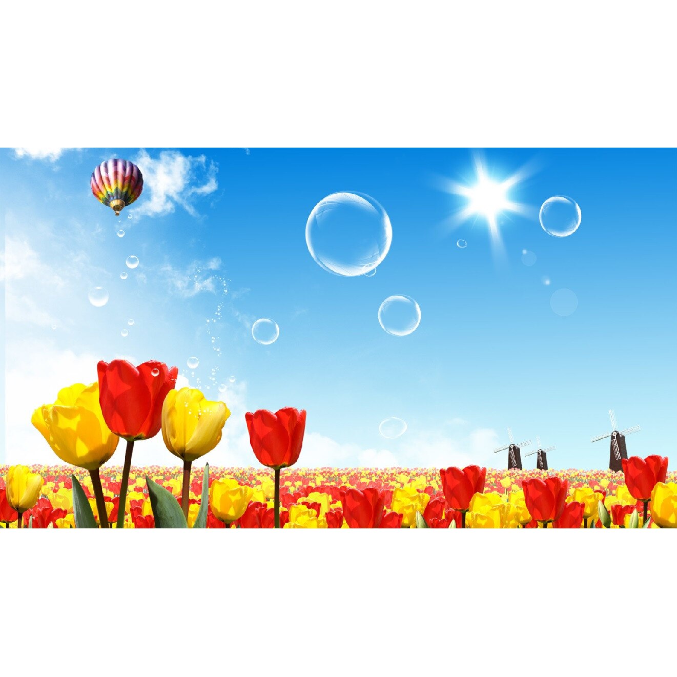 Fototapet Zbor peste camp de lalele (380 x 255 cm)