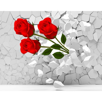 Fototapet din autocolant de perete Trandafiri rosii prin zid 270 x 200 cm Fototapet din autocolant de perete Trandafiri rosii prin zid 270 x 200 cm