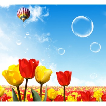 Fototapet Zbor peste camp de lalele 300 x 200 cm Fototapet Zbor peste camp de lalele 300 x 200 cm