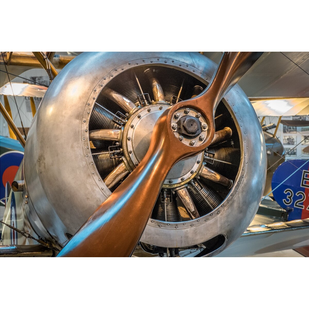 Fototapet Zbor in trecut (380 x 255 cm)