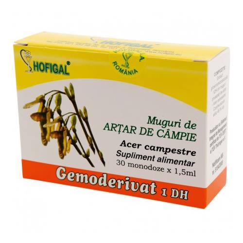 Gemoderivat Muguri Artar Hofigal 30mdz
