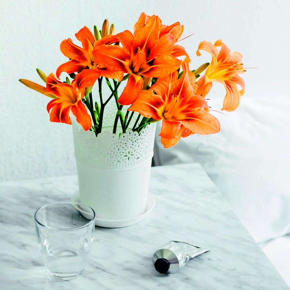 Tablou Canvas, Orange crin, 50x50 cm