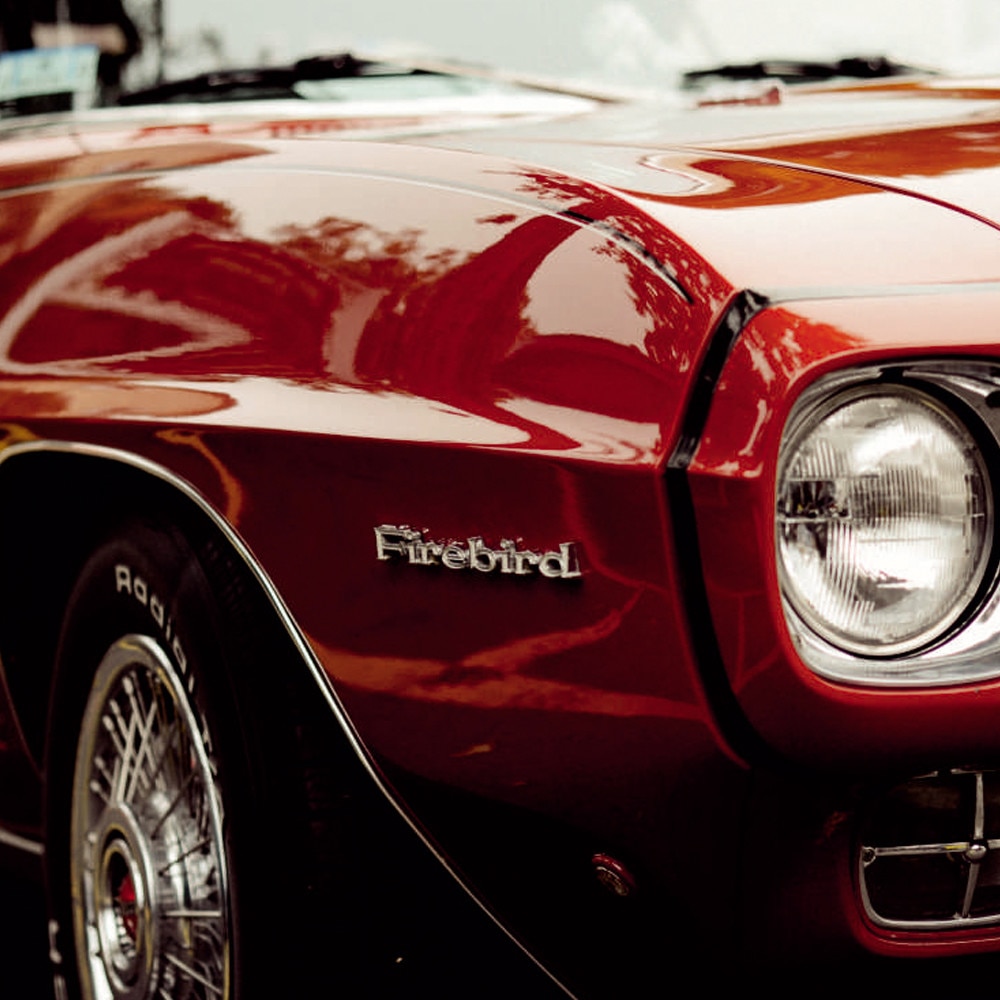 Tablou Forex, Firebird, 50x50 cm
