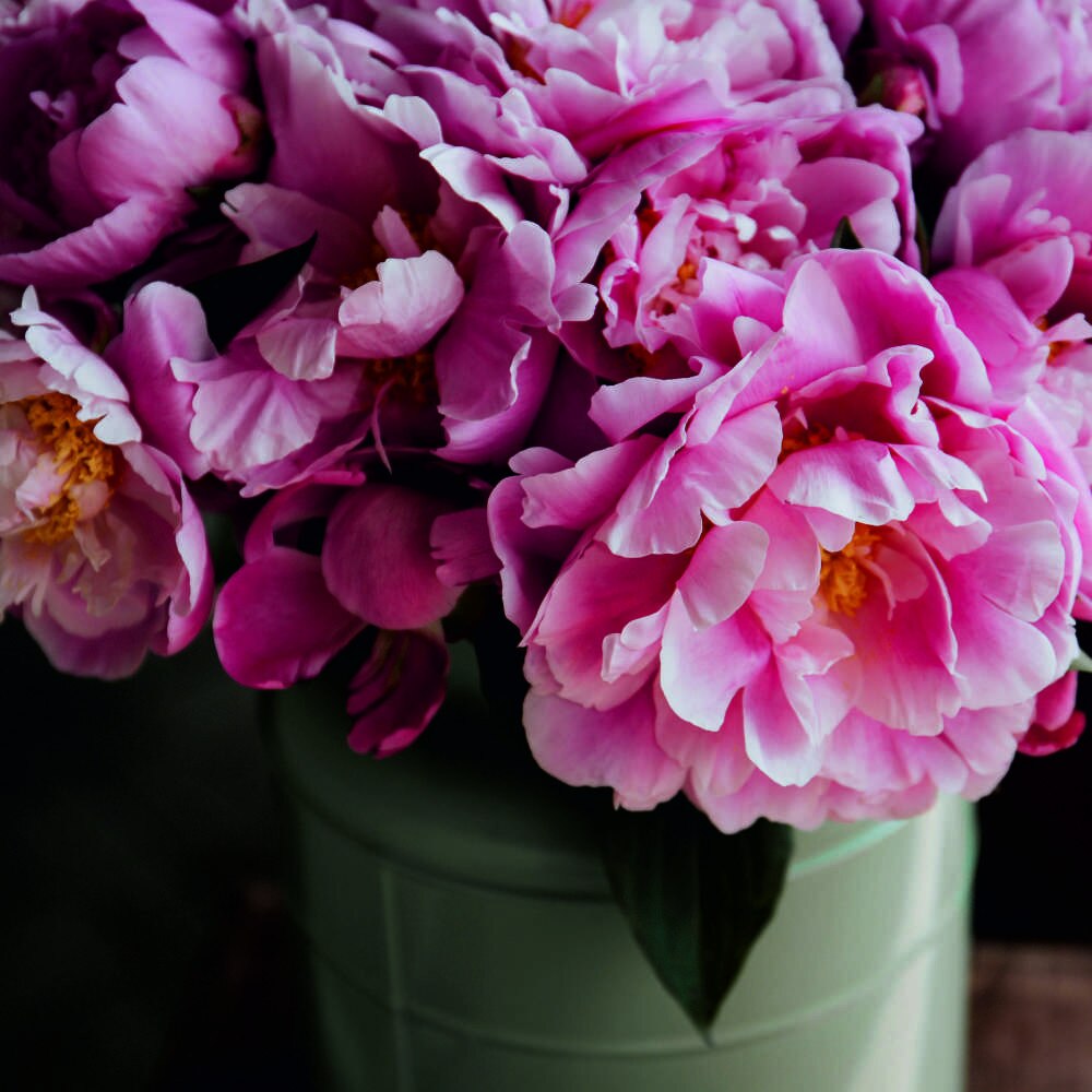 Tablou Forex, Pink flowers bouquet, 50x50 cm